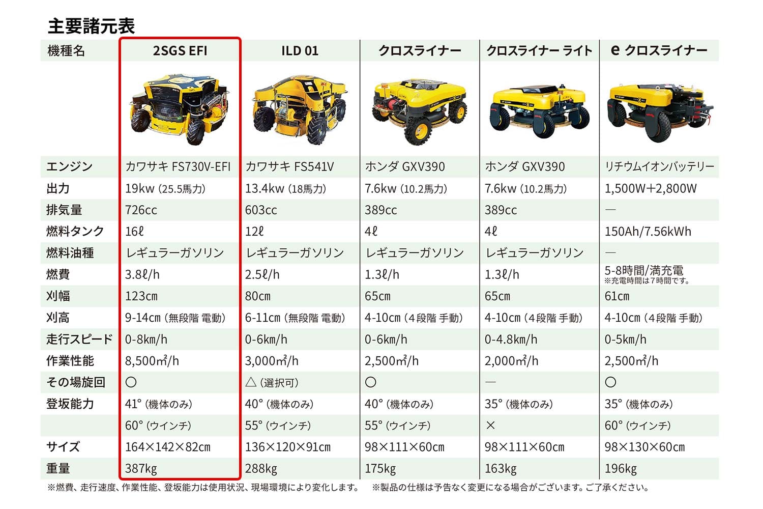 2SGS EFI